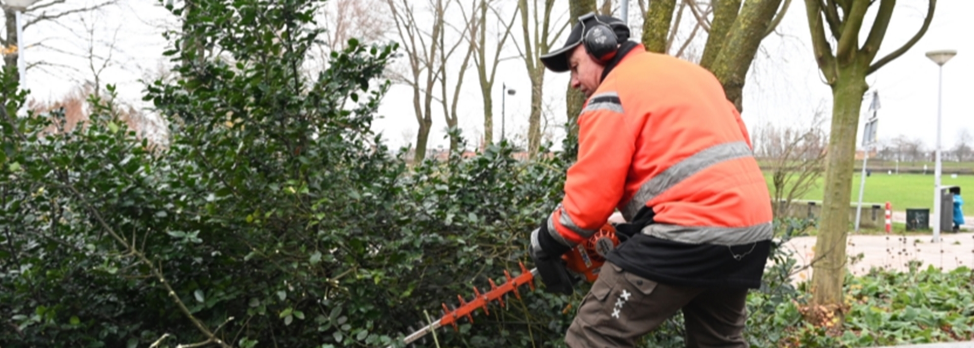 Medewerker Groen